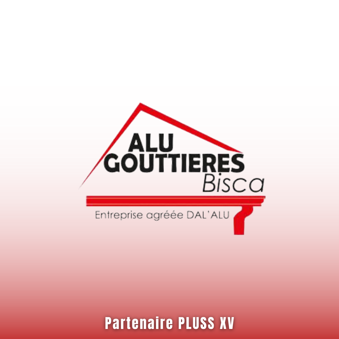 Alu gouttieres 1