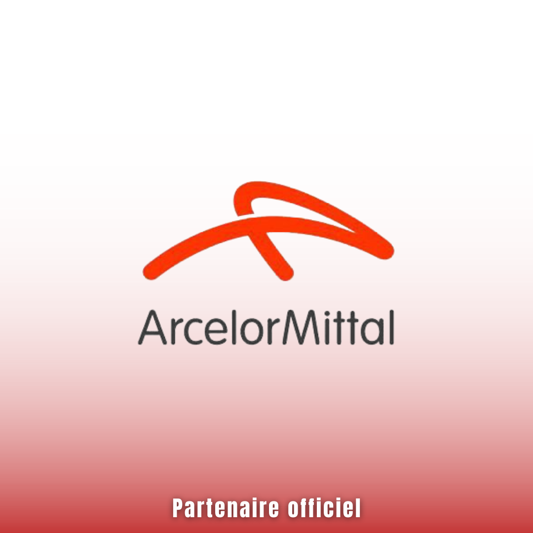 Arcelor mittal 1