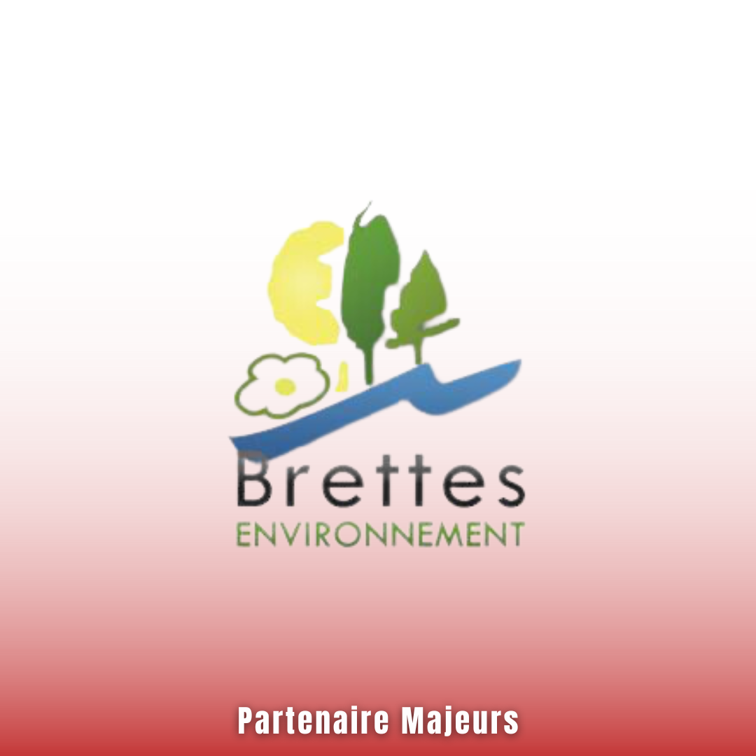 Brettes 1