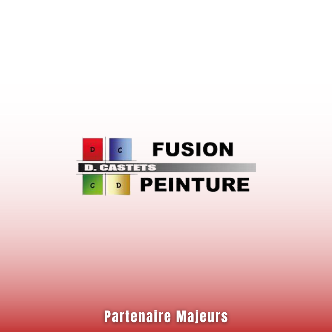 Fusion peinture